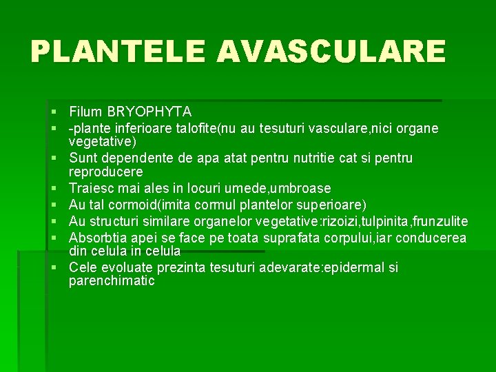 PLANTELE AVASCULARE § Filum BRYOPHYTA § -plante inferioare talofite(nu au tesuturi vasculare, nici organe