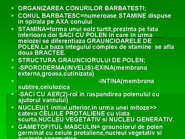 § ORGANIZAREA CONURILOR BARBATESTI; § CONUL BARBATESC=numeroase STAMINE dispuse in spirala pe AXA conului