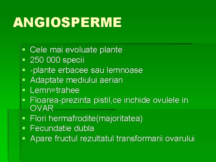 ANGIOSPERME § § § § § Cele mai evoluate plante 250 000 specii -plante