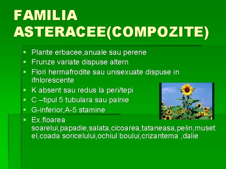 FAMILIA ASTERACEE(COMPOZITE) § Plante erbacee, anuale sau perene § Frunze variate dispuse altern §