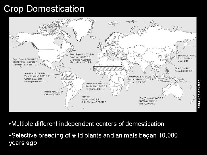 Crop Domestication Doebley et al. In Press • Multiple different independent centers of domestication