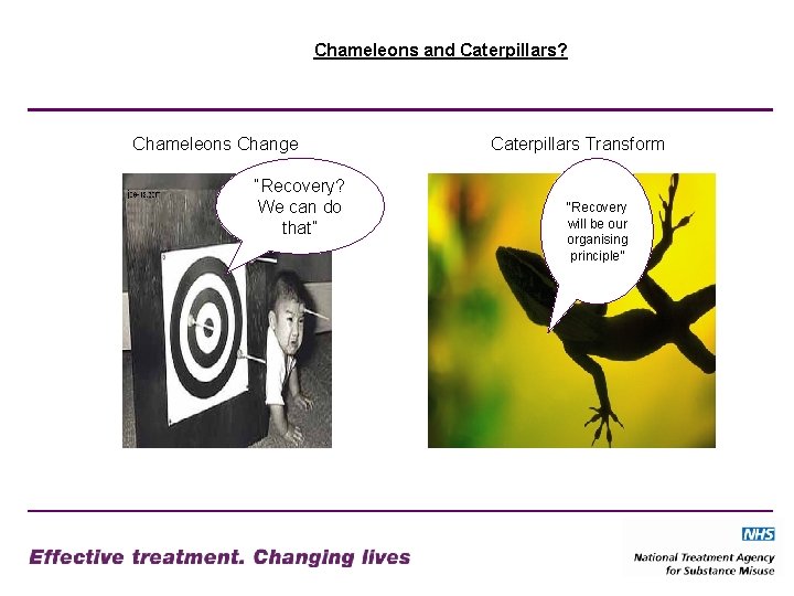 Chameleons and Caterpillars? Chameleons Change “Recovery? We can do that” Caterpillars Transform “Recovery will