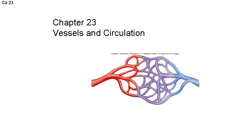Co 23 Chapter 23 Vessels and Circulation 