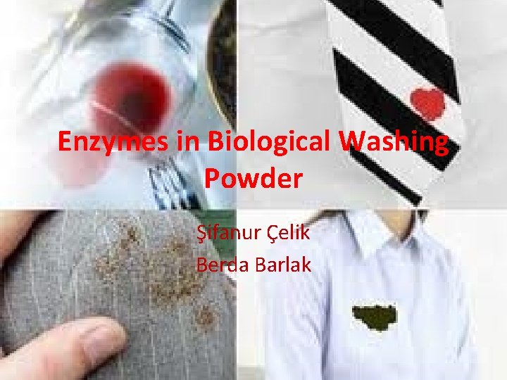 Enzymes in Biological Washing Powder Şifanur Çelik Berda Barlak 