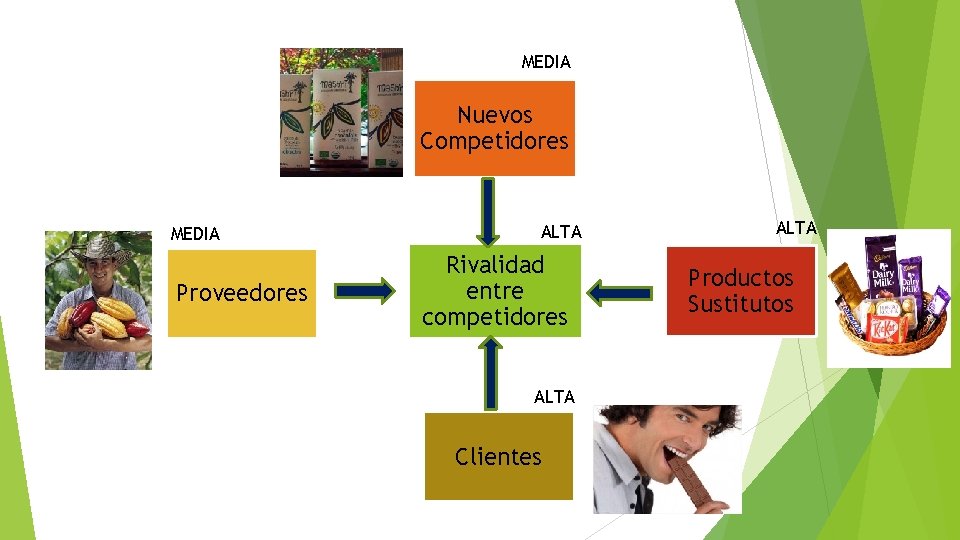 MEDIA Nuevos Competidores MEDIA Proveedores ALTA Rivalidad entre competidores ALTA Clientes ALTA Productos Sustitutos