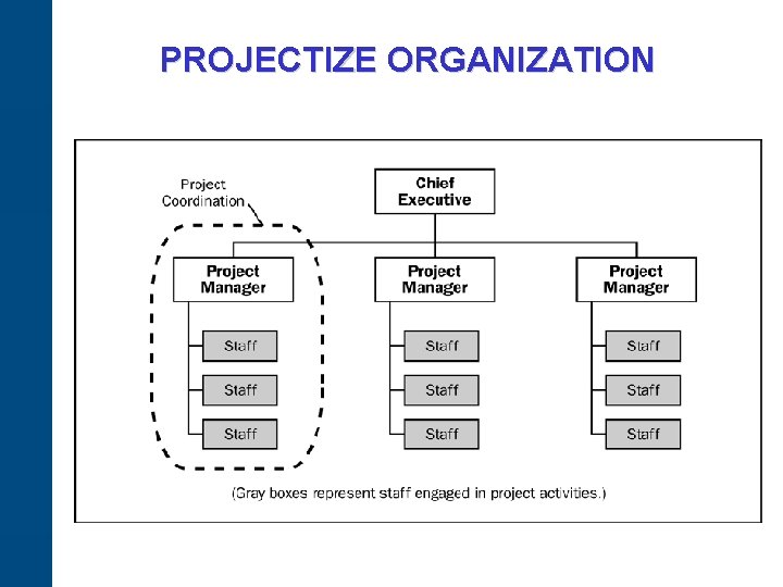 PROJECTIZE ORGANIZATION 