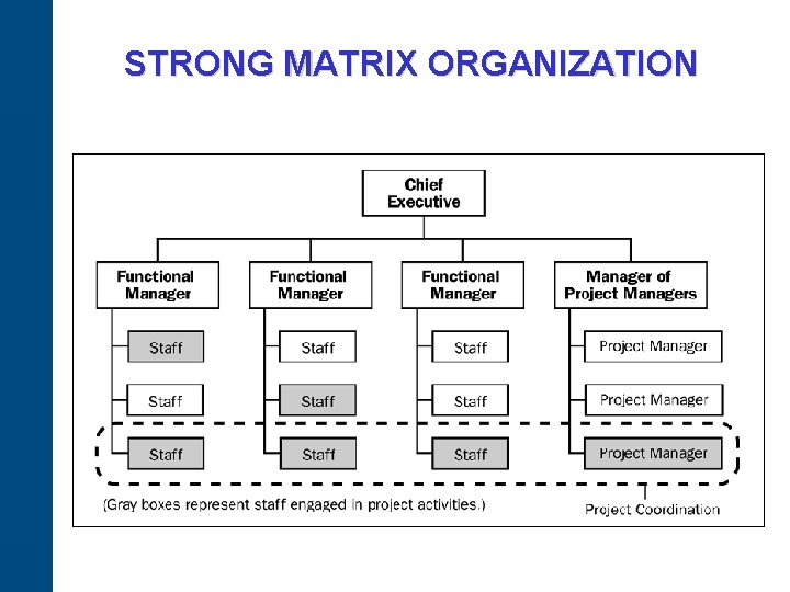 STRONG MATRIX ORGANIZATION 
