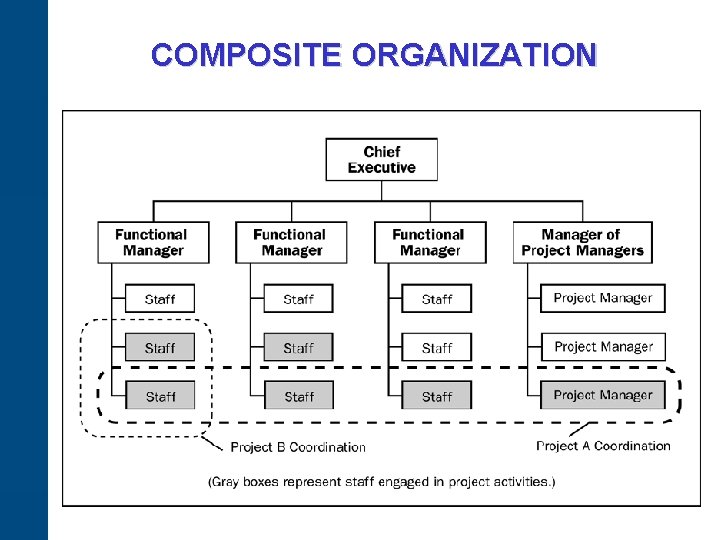 COMPOSITE ORGANIZATION 