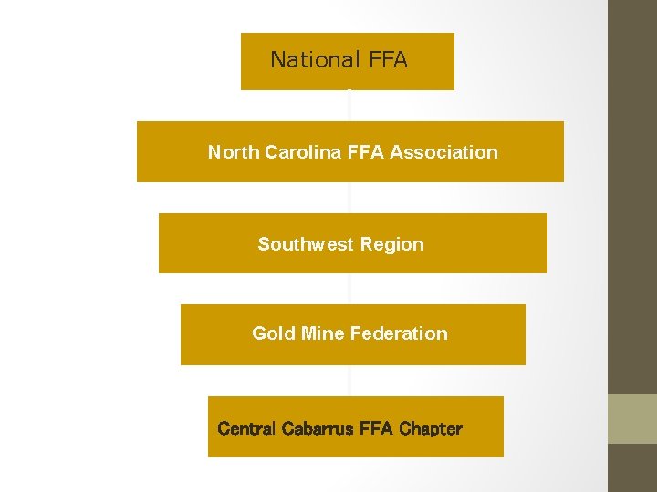 National FFA North Carolina FFA Association Southwest Region Gold Mine Federation Central Cabarrus FFA