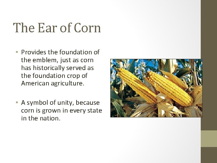 The Ear of Corn • Provides the foundation of the emblem, just as corn