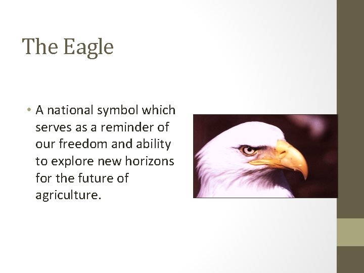 The Eagle • A national symbol which serves as a reminder of our freedom