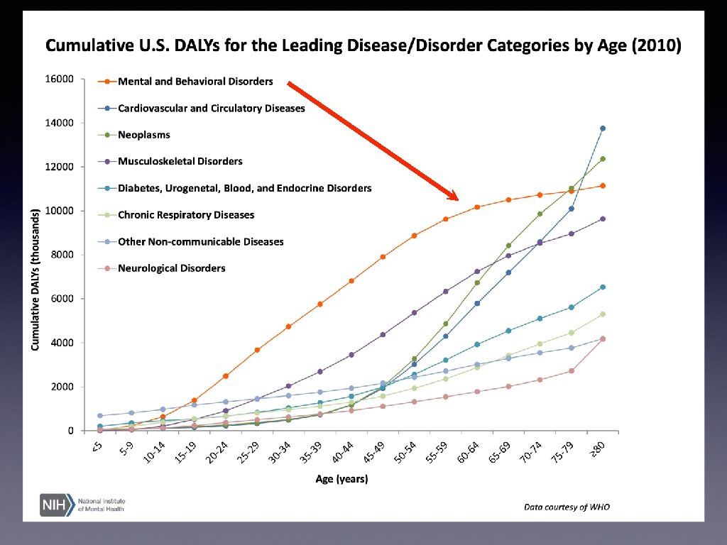 The Role of Primary Care in Diagnosis Treatment