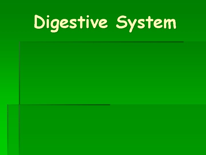 Digestive System 