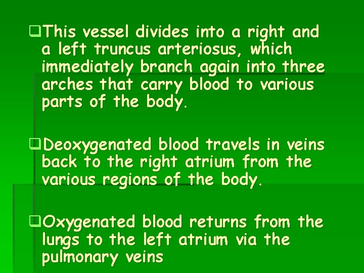 q. This vessel divides into a right and a left truncus arteriosus, which immediately