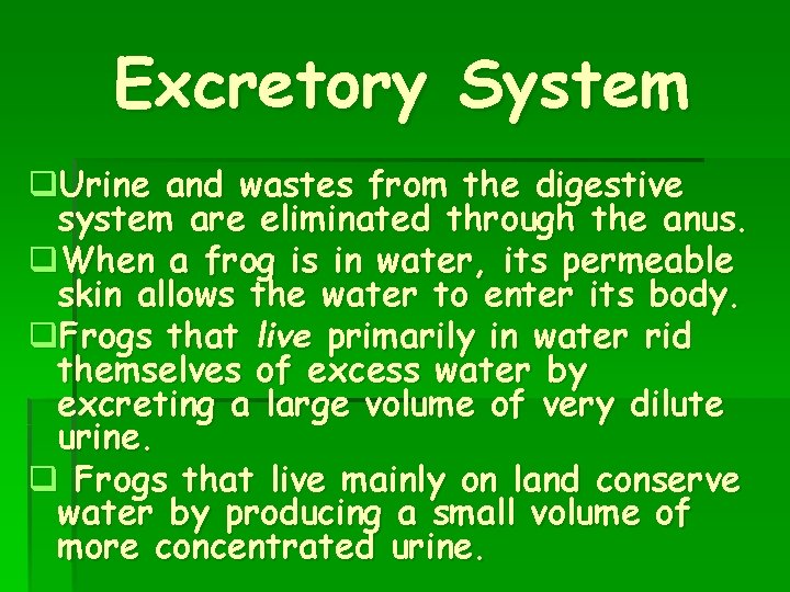 Excretory System q. Urine and wastes from the digestive system are eliminated through the