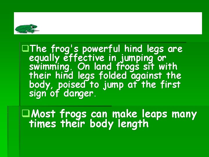 q. The frog's powerful hind legs are equally effective in jumping or swimming. On