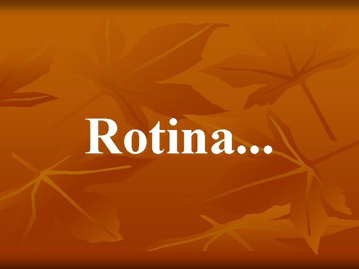 Rotina. . . 