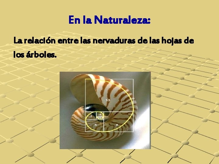 En la Naturaleza: La relación entre las nervaduras de las hojas de los árboles.