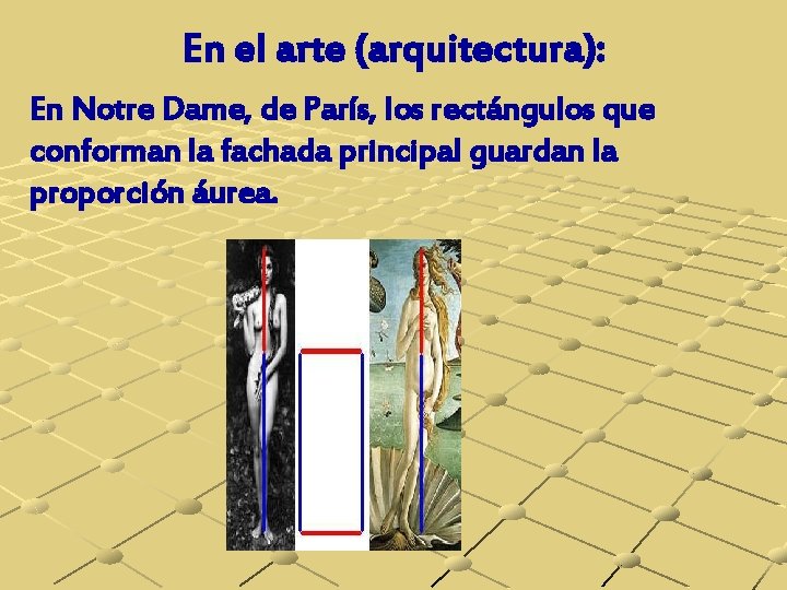 En el arte (arquitectura): En Notre Dame, de París, los rectángulos que conforman la