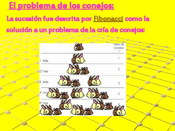 El problema de los conejos: La sucesión fue descrita por Fibonacci como la solución