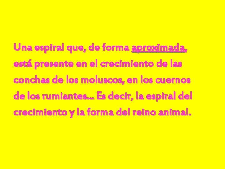 Una espiral que, de forma aproximada, está presente en el crecimiento de las conchas