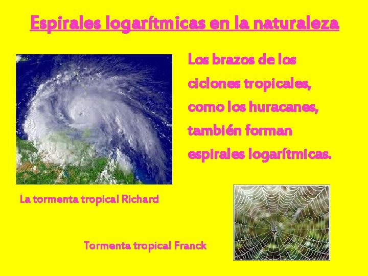 Espirales logarítmicas en la naturaleza Los brazos de los ciclones tropicales, como los huracanes,