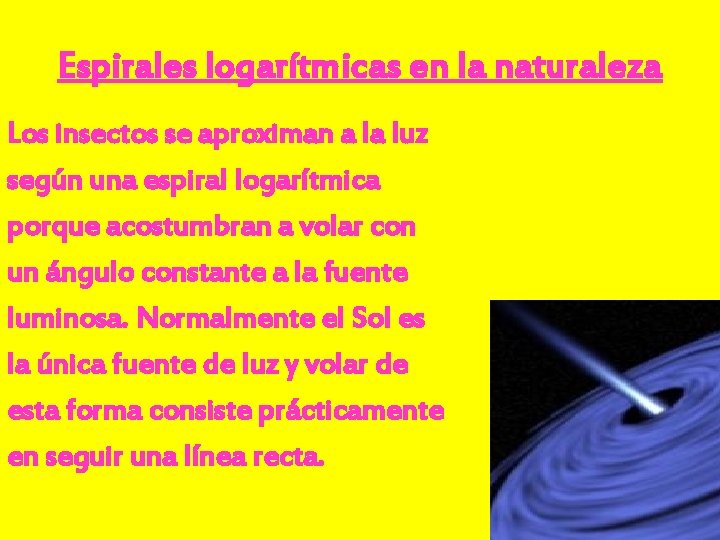 Espirales logarítmicas en la naturaleza Los insectos se aproximan a la luz según una