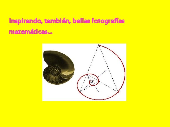 Inspirando, también, bellas fotografías matemáticas… 