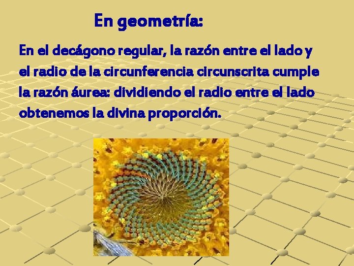 En geometría: En el decágono regular, la razón entre el lado y el radio