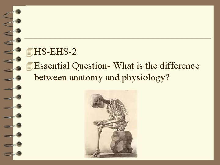 4 HS-EHS-2 4 Essential Question- What is the difference between anatomy and physiology? 