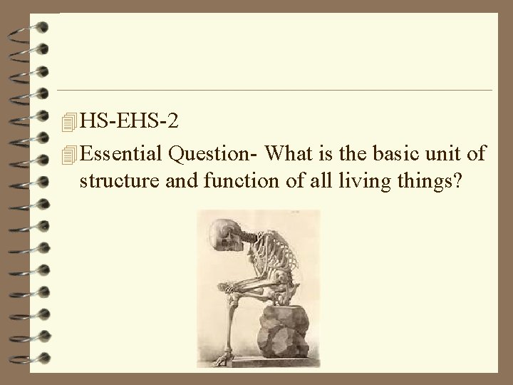 4 HS-EHS-2 4 Essential Question- What is the basic unit of structure and function