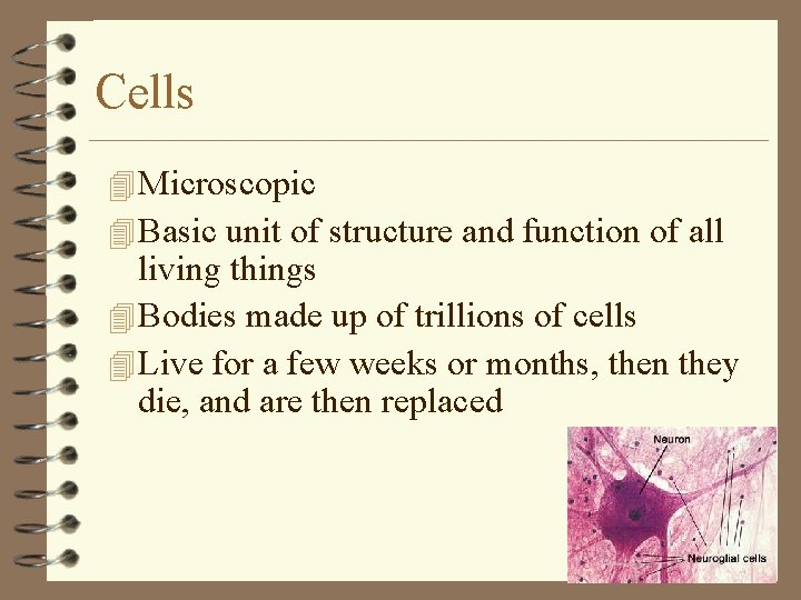 Cells 4 Microscopic 4 Basic unit of structure and function of all living things