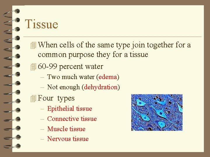 Tissue 4 When cells of the same type join together for a common purpose
