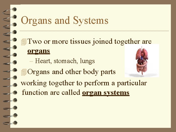 Organs and Systems 4 Two or more tissues joined together are organs – Heart,