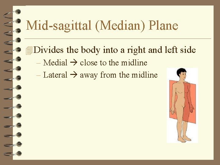 Mid-sagittal (Median) Plane 4 Divides the body into a right and left side –
