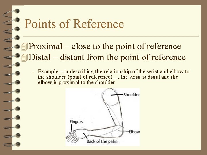 Points of Reference 4 Proximal – close to the point of reference 4 Distal