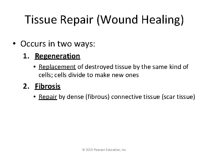 Tissue Repair (Wound Healing) • Occurs in two ways: 1. Regeneration • Replacement of