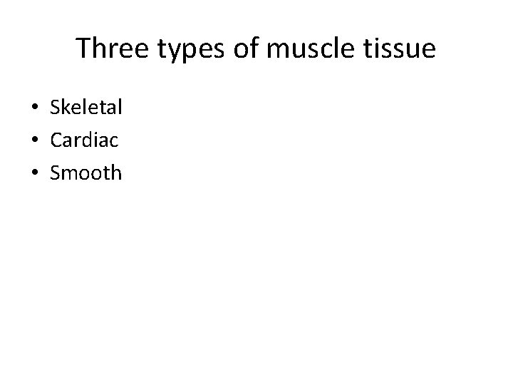 Three types of muscle tissue • Skeletal • Cardiac • Smooth 