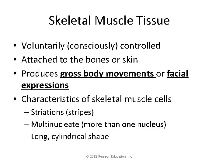 Skeletal Muscle Tissue • Voluntarily (consciously) controlled • Attached to the bones or skin