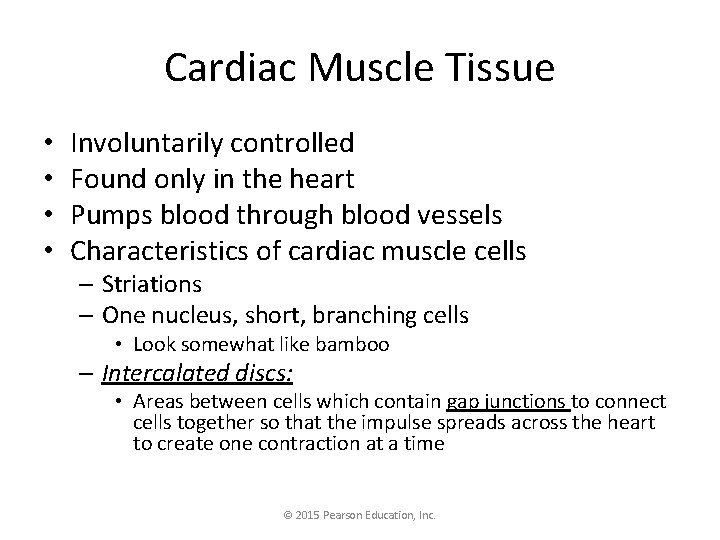 Cardiac Muscle Tissue • • Involuntarily controlled Found only in the heart Pumps blood