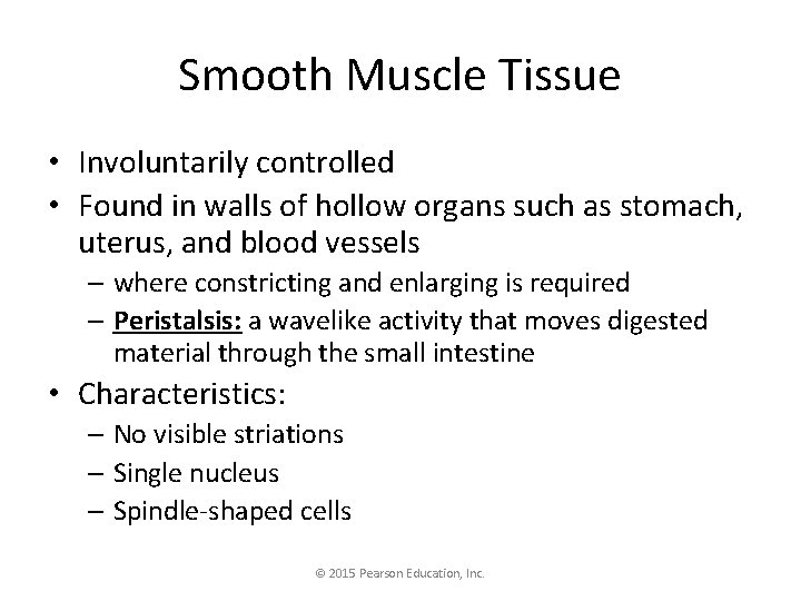 Smooth Muscle Tissue • Involuntarily controlled • Found in walls of hollow organs such