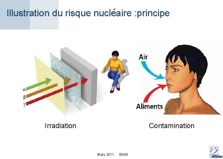 Illustration du risque nucléaire : principe Irradiation Contamination Mars 2011 60/46 