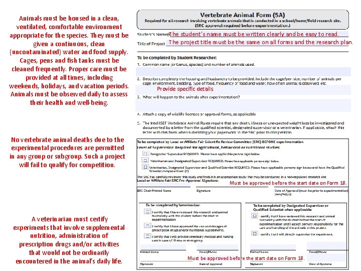 Animals must be housed in a clean, ventilated, comfortable environment appropriate for the species.