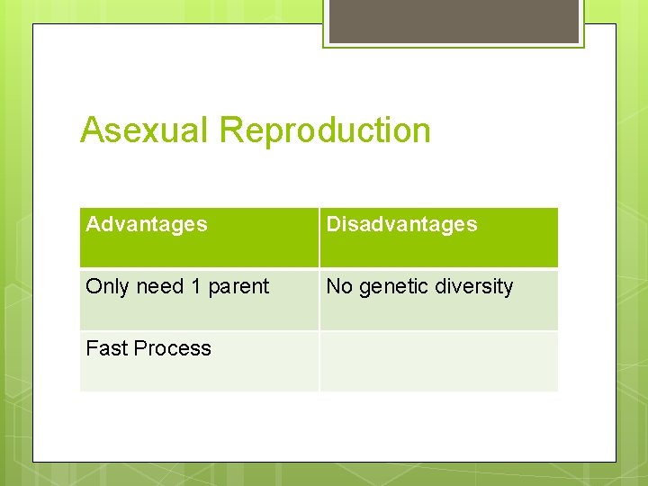 Asexual Reproduction Advantages Disadvantages Only need 1 parent No genetic diversity Fast Process 