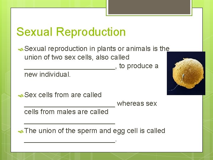 Sexual Reproduction Sexual reproduction in plants or animals is the union of two sex