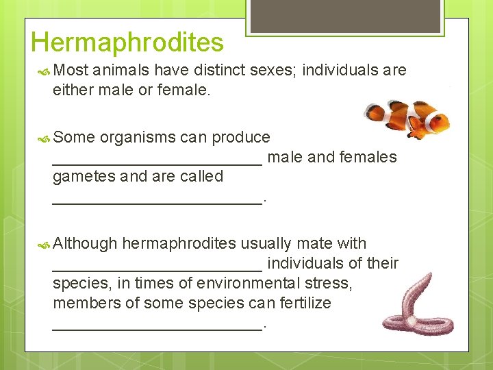 Hermaphrodites Most animals have distinct sexes; individuals are either male or female. Some organisms