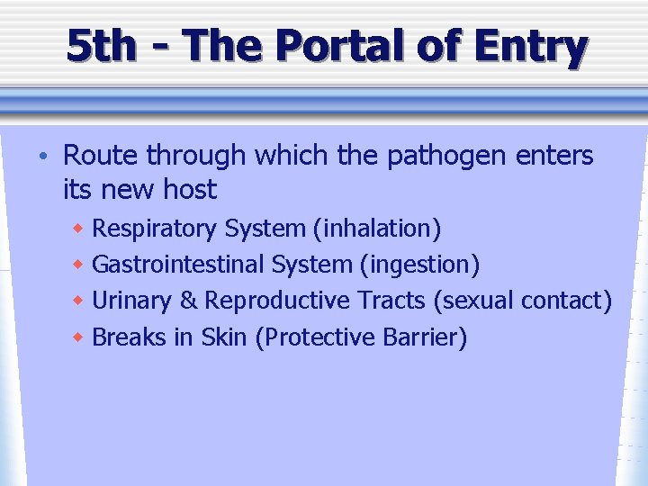 5 th - The Portal of Entry • Route through which the pathogen enters