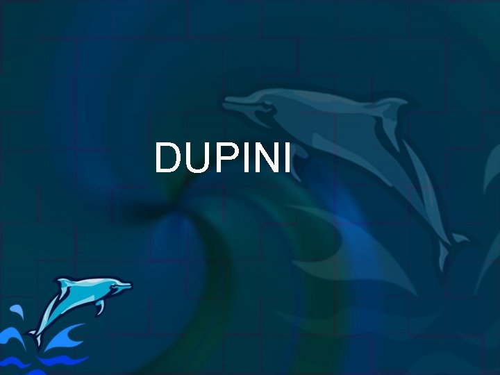 DUPINI 