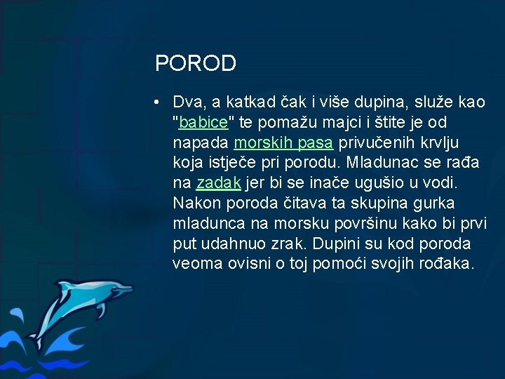 POROD • Dva, a katkad čak i više dupina, služe kao "babice" te pomažu