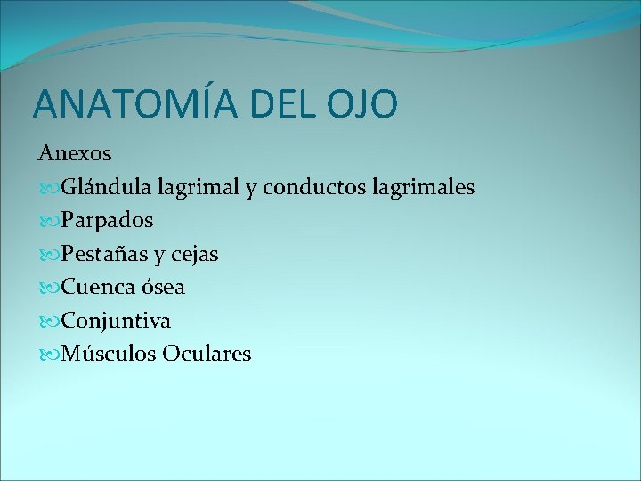 ANATOMÍA DEL OJO Anexos Glándula lagrimal y conductos lagrimales Parpados Pestañas y cejas Cuenca